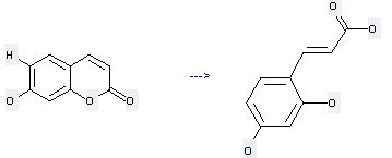 7-Hydroxycoumarin can be used to produce 2,4-dihydroxy-trans-cinnamic acid at the temperature of 80 °C